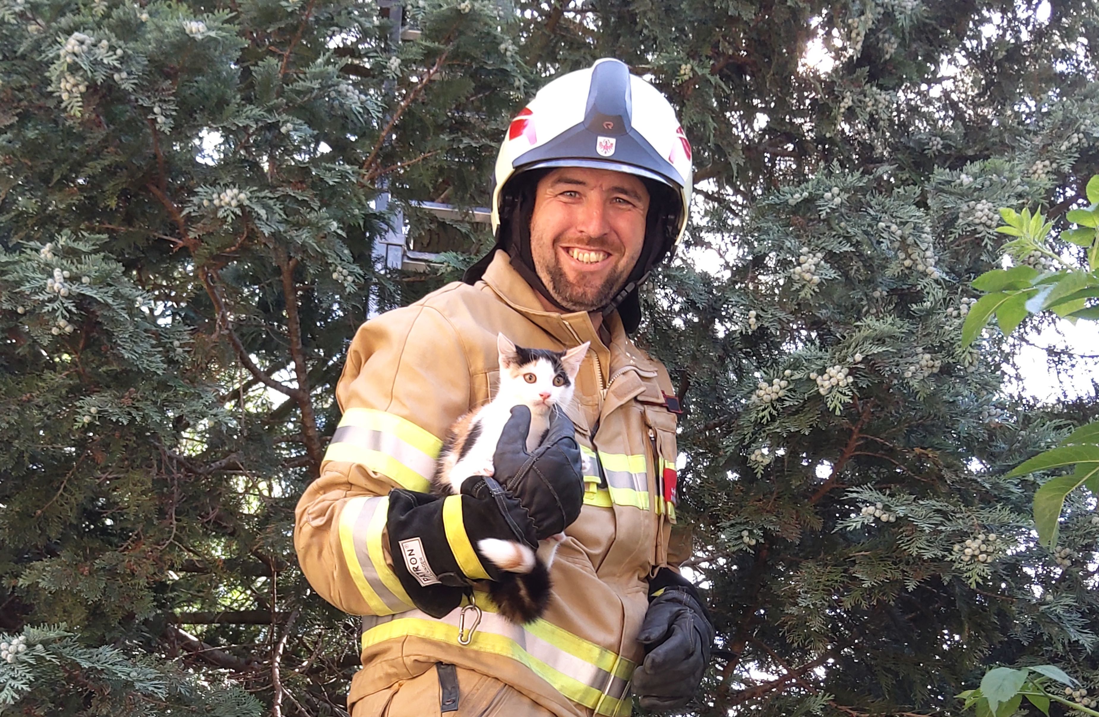 Rettung von Katzenbaby Charlie -Fotocredit: ZOOM.TIROL 