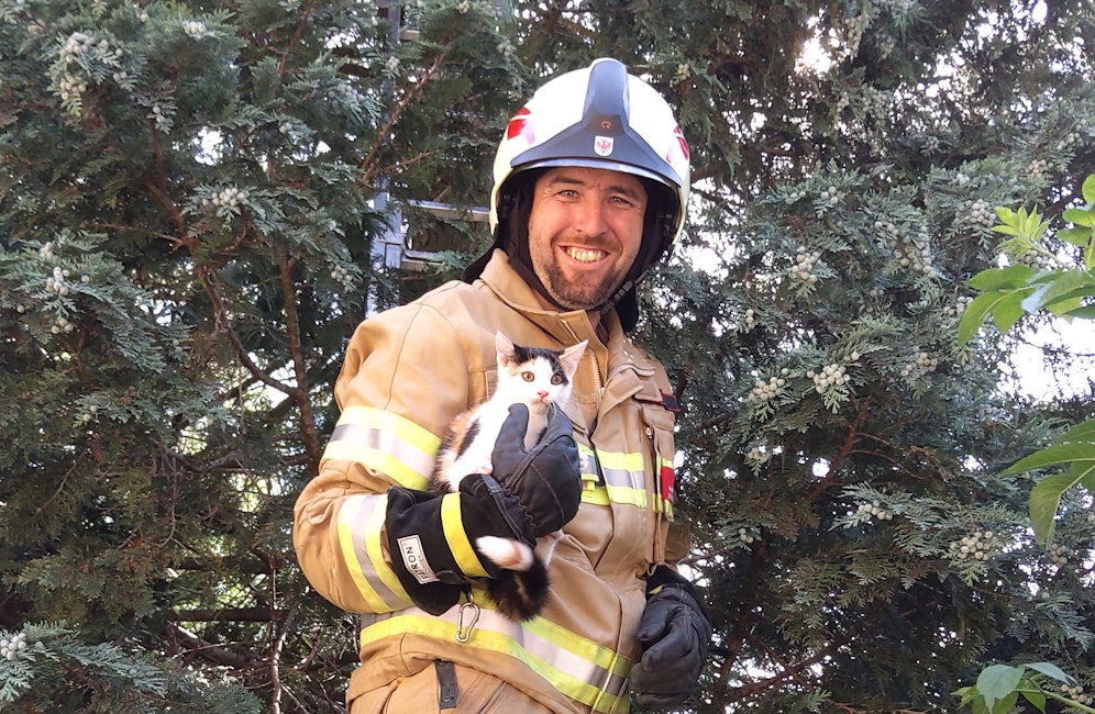 Die Feuerwehr konnte die beiden Katzenbabys unversehrt retten.