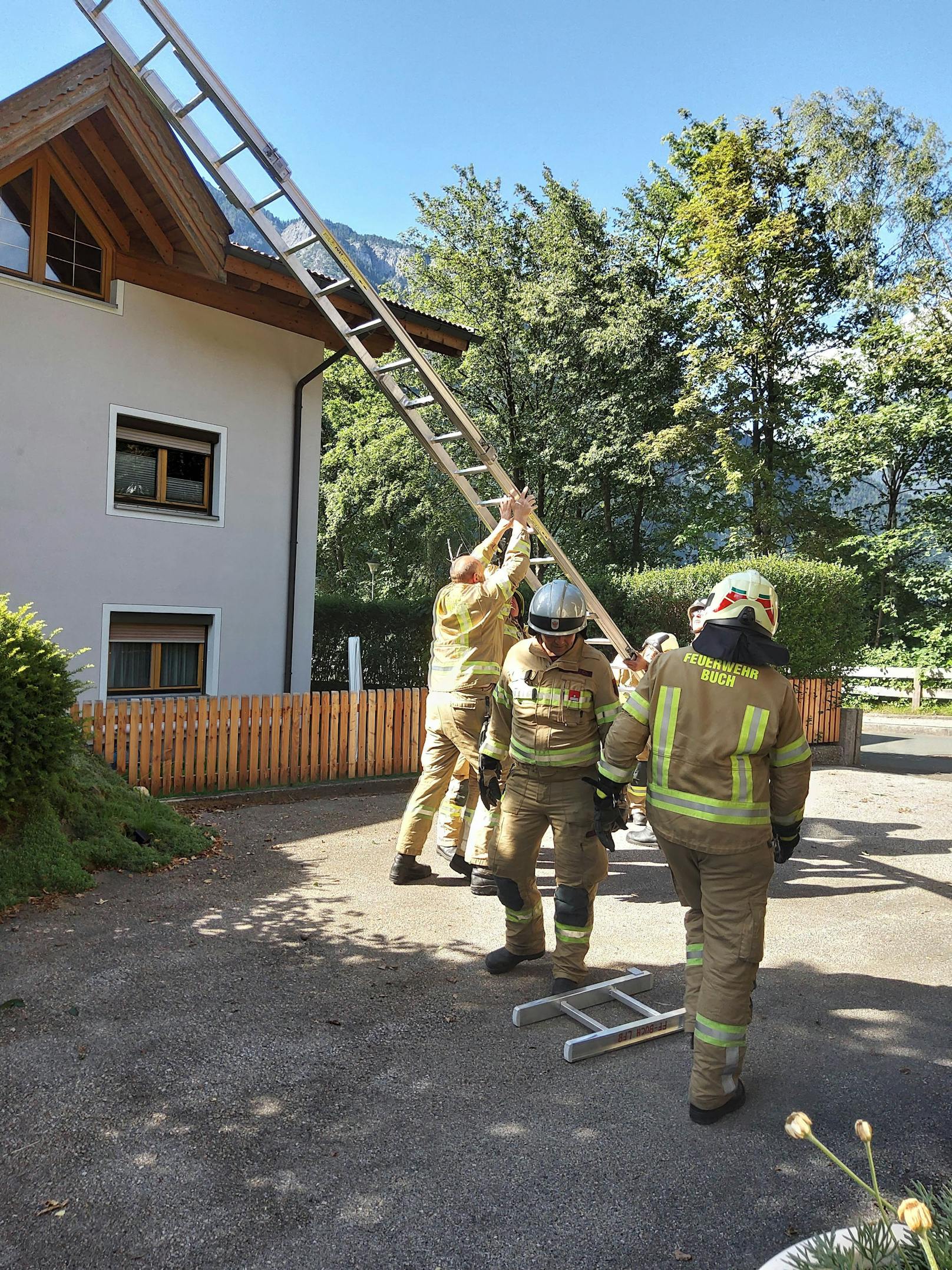 Dem Feuerwehrmann gelang es, beide Katzen unversehrt zu bergen.