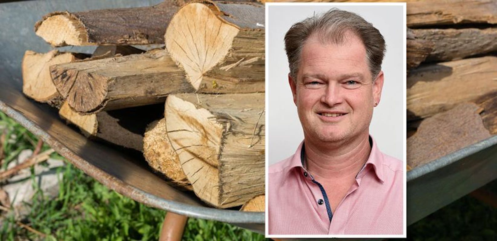 "Es gibt genug Holz in Österreich": Wolfgang Mahringer von der WKO warnt vor panischen Hamsterkäufen.