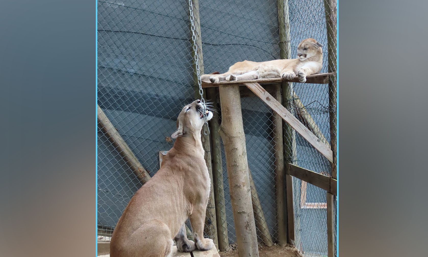 Liebe auf den ersten Blick ist es nicht gerade - wie man unschwer erkennen kann. 