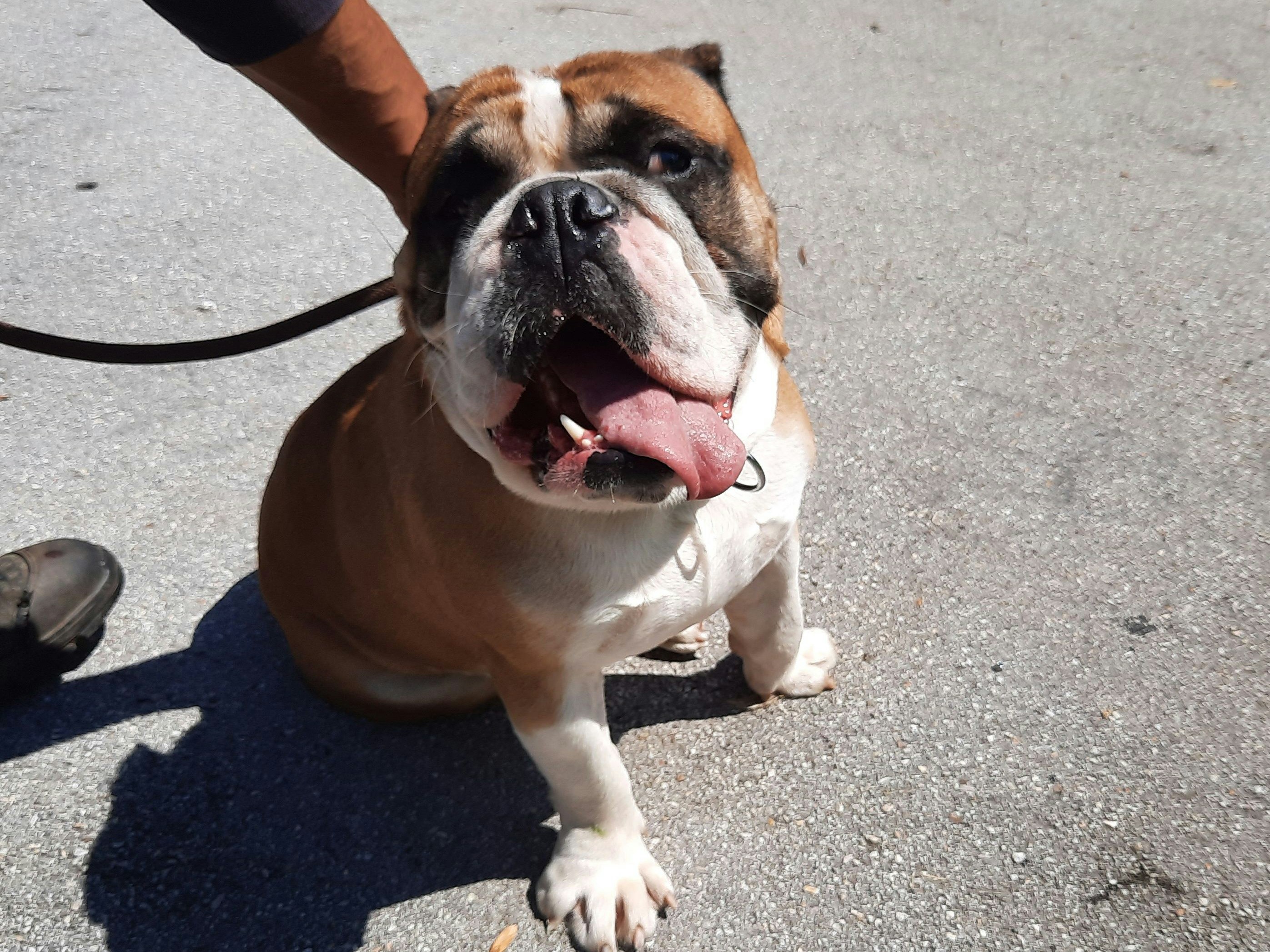 "Helmut" sucht ein neues Zuhause.