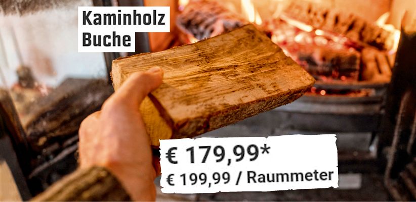 Der Raummeter Brennholz kostet in einem Baumarkt bereits knapp 200 Euro.