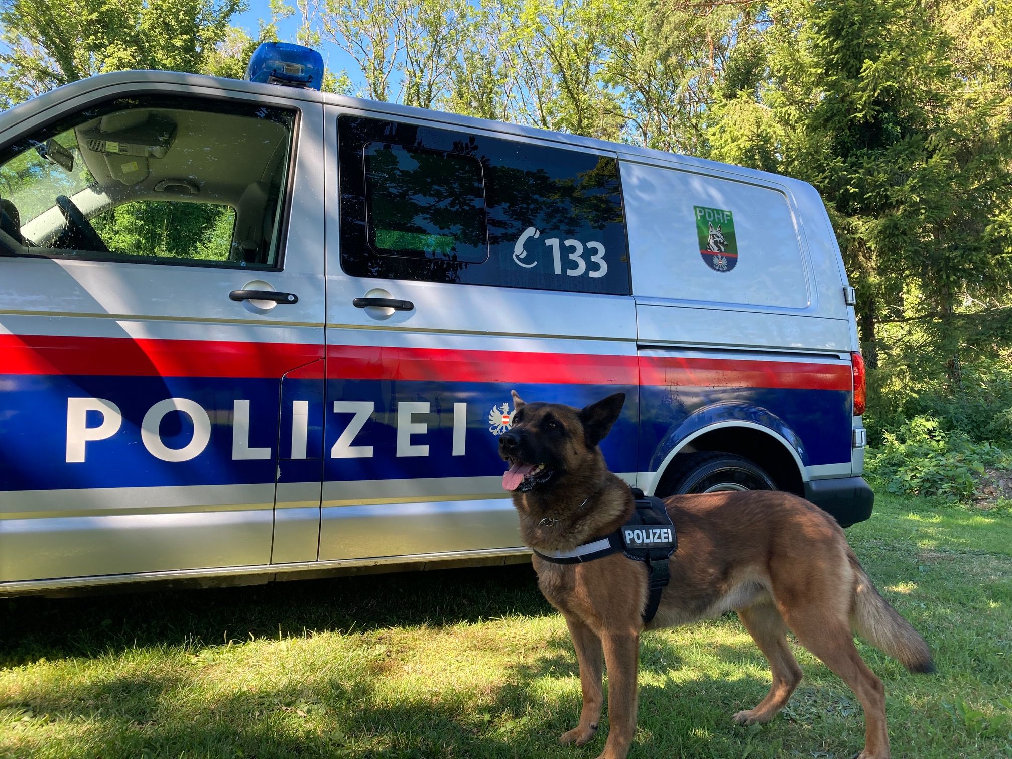 Polizeihund Sam erschnüffelte den jungen Einbrecher.