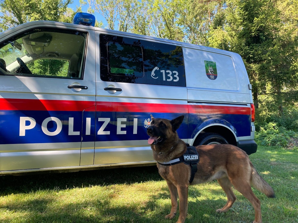 Polizeihund Sam erschnüffelte den jungen Einbrecher.