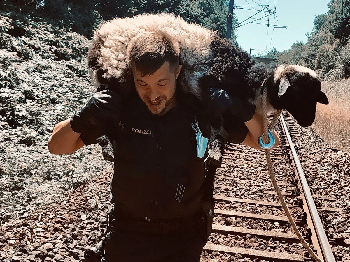 Die Polizisten hielten die "etwas andere Tierrettung" mit einer Kamera fest.
