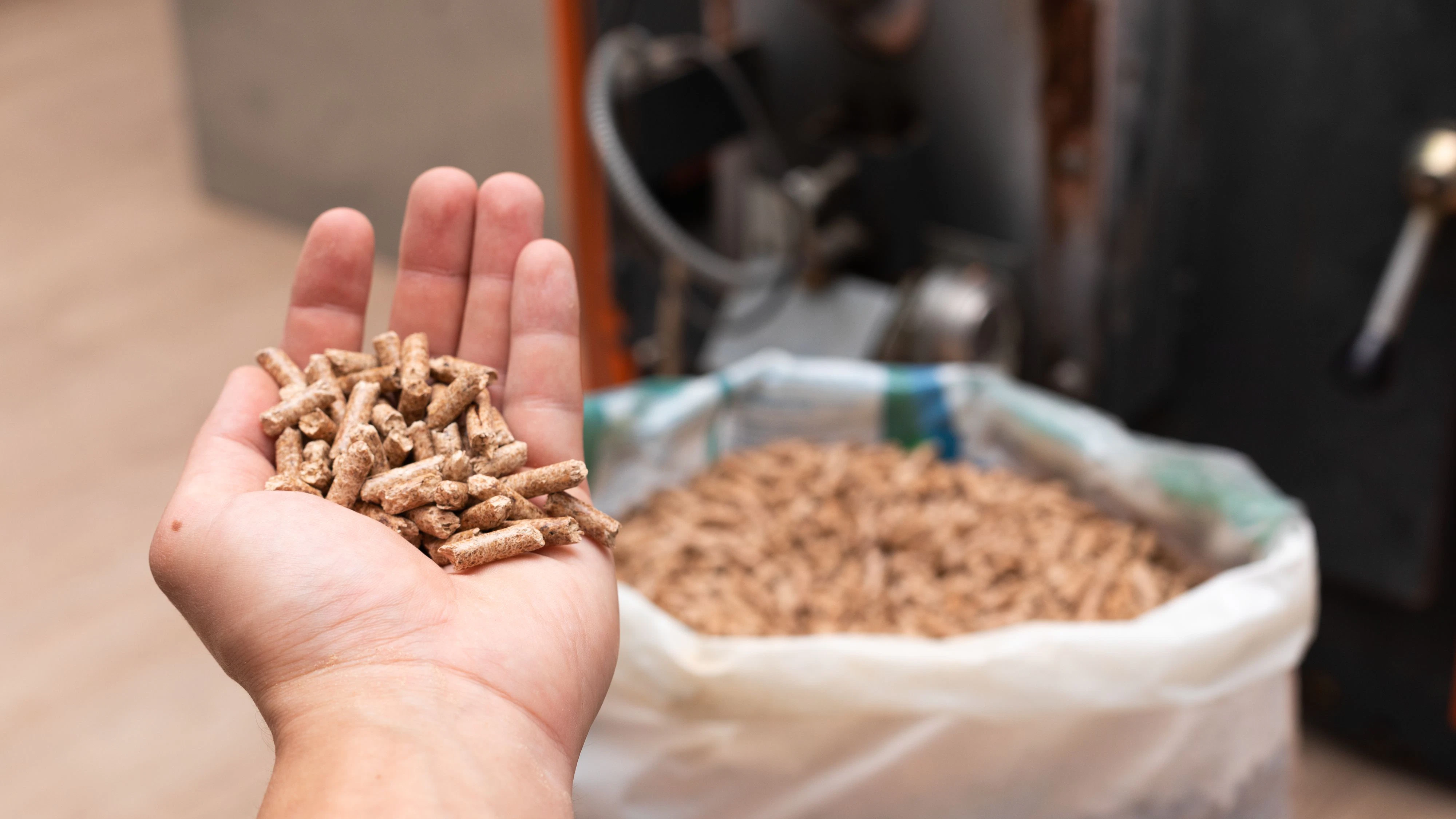 Heute.at - Pellet-Preise explodieren! Jetzt droht nächste Teuerung