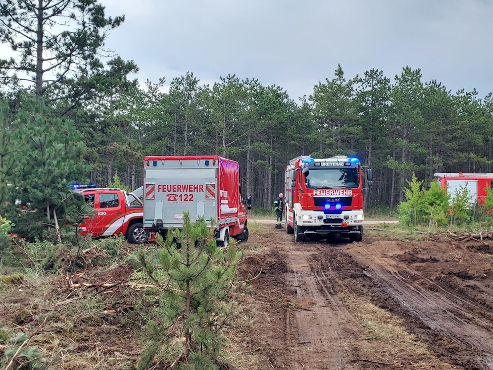 1.200 Feuerwehrmitglieder kämpfen seit drei Tagen gegen die Flammen in Großmittel.
