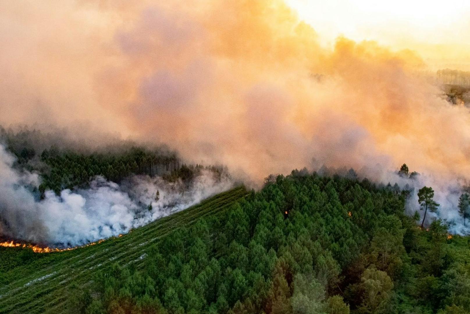 In Frankreich wüten zurzeit Waldbrände in der Region um Bordeaux.
