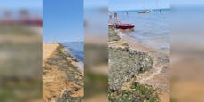 Algen-Alptraum verjagt Österreicher von Bibione-Strand