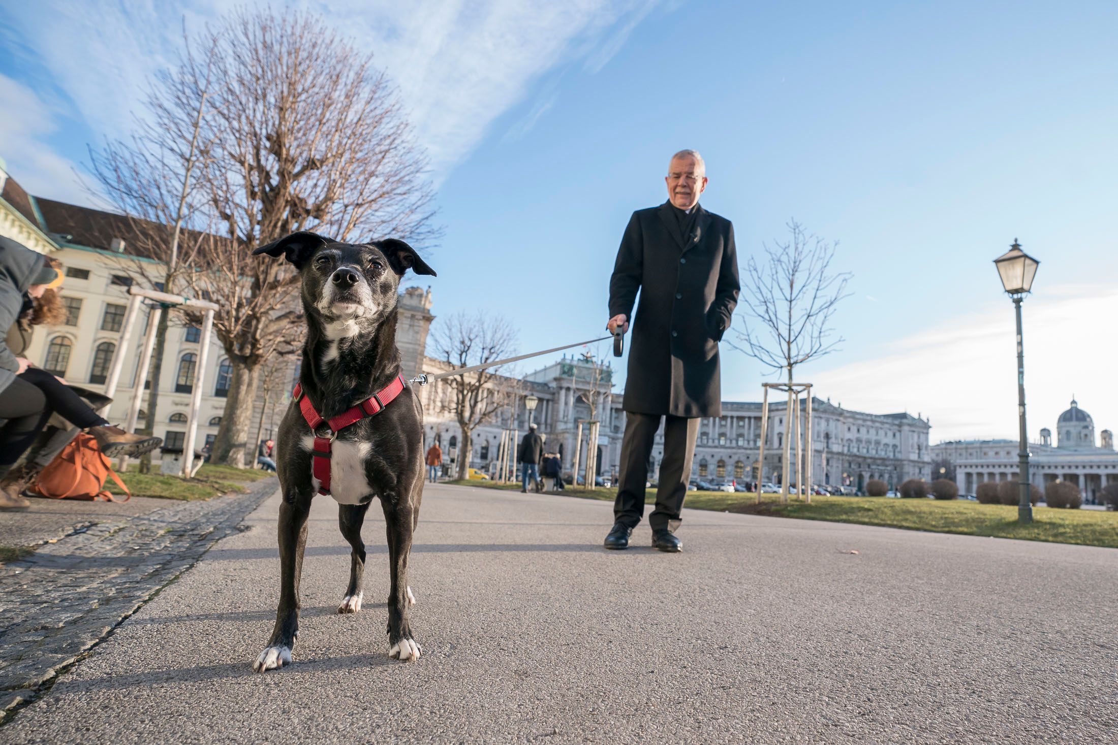 Mit Juli trifft man Alexander Van der Bellen immer wieder in der Wiener Innenstadt an.
