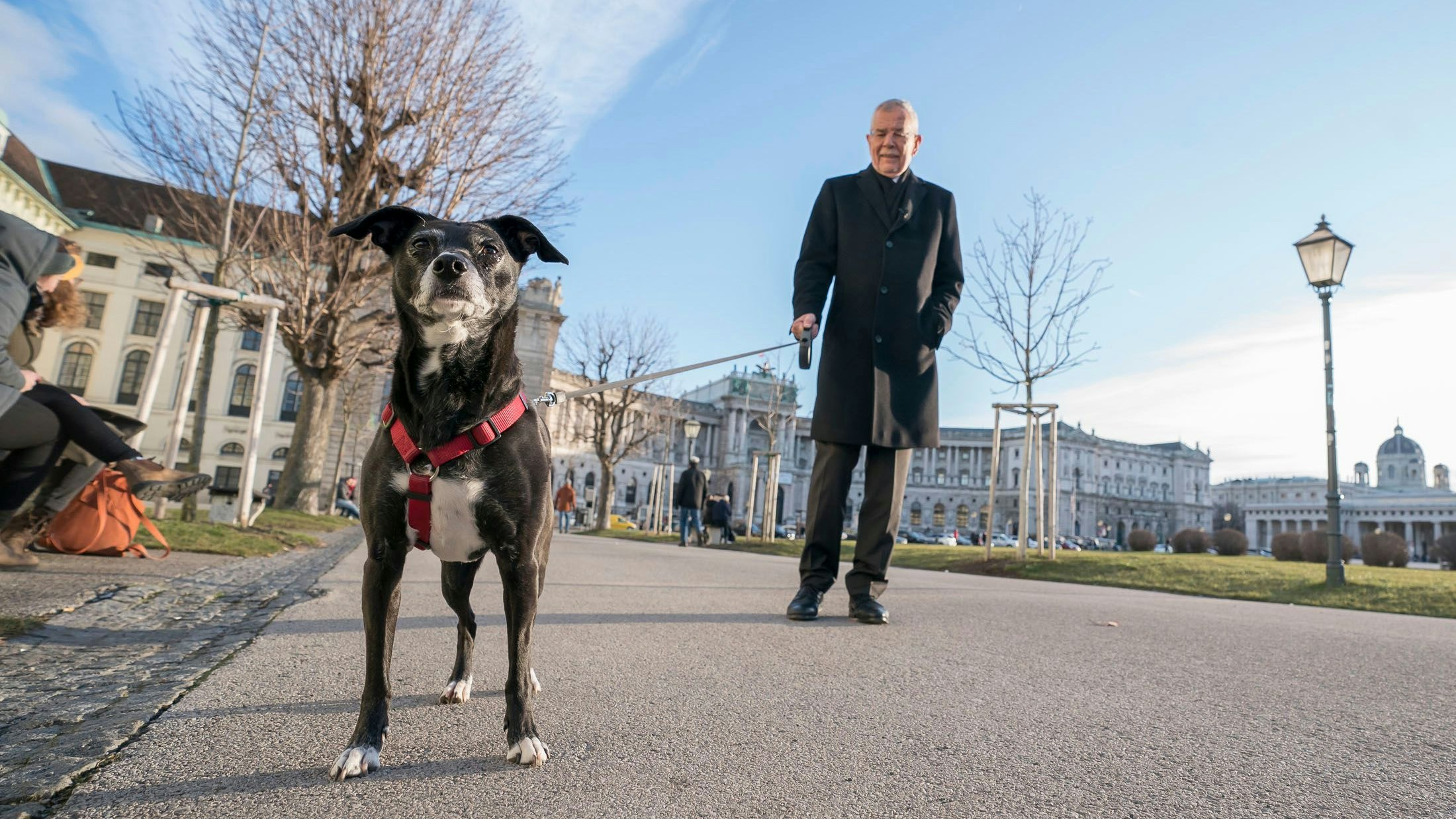 Mit Juli trifft man Alexander Van der Bellen immer wieder in der Wiener Innenstadt an.