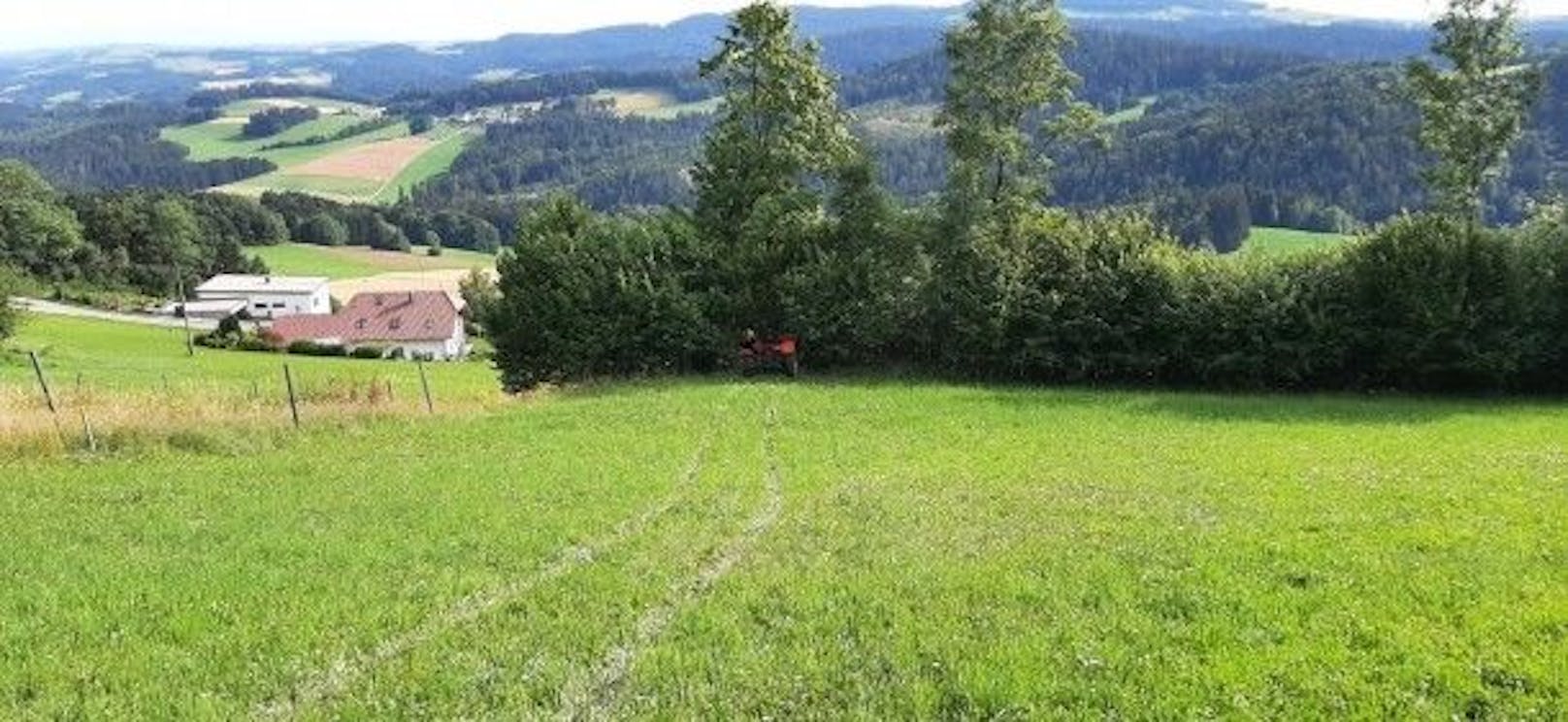 Der Bauer war im steilen Gelände unterwegs.