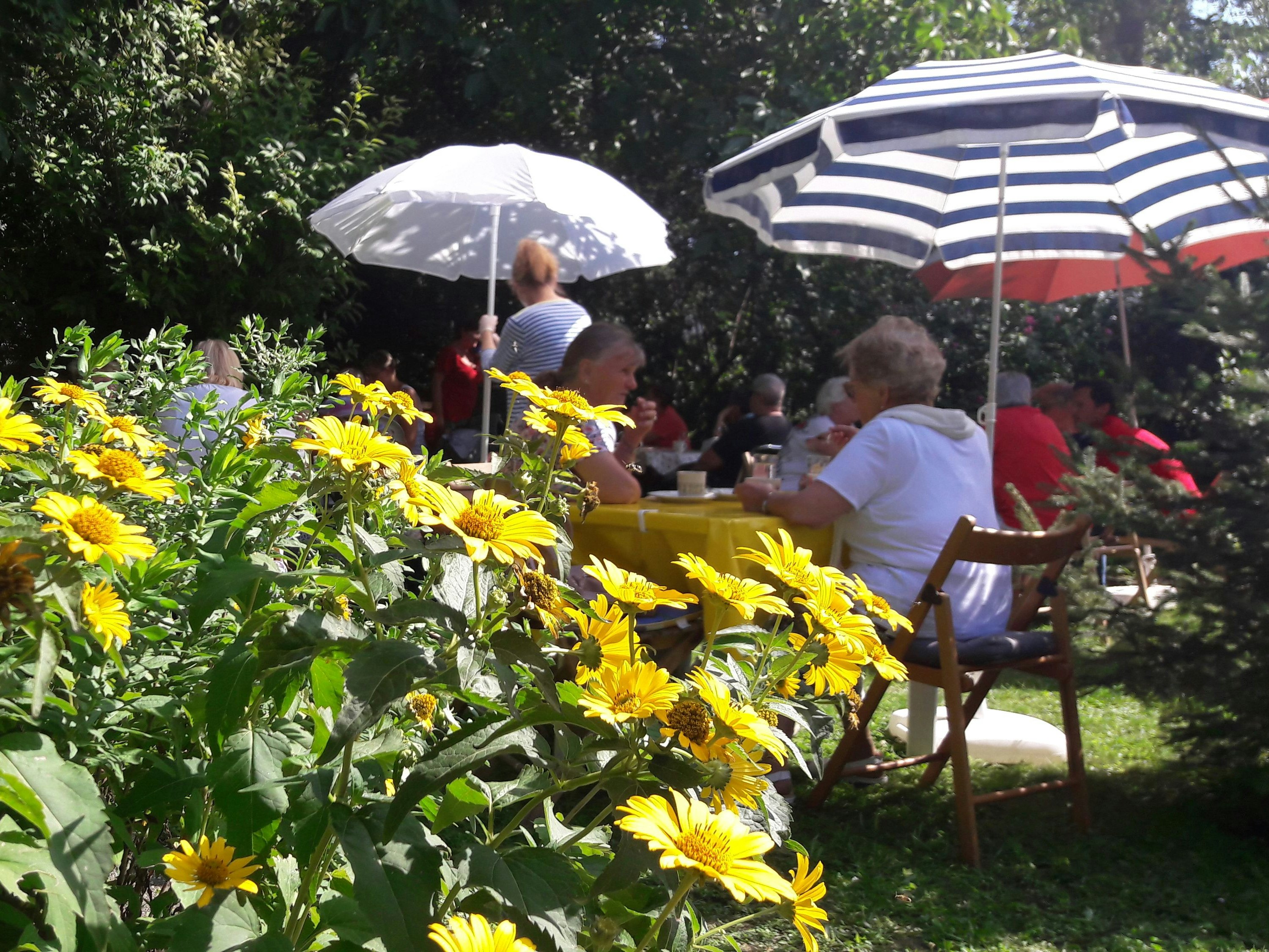 Kühle Getränke, Snacks und ein nettes Gespräch bei der "Sommerfrische im Pfarrgarten" der Caritas.