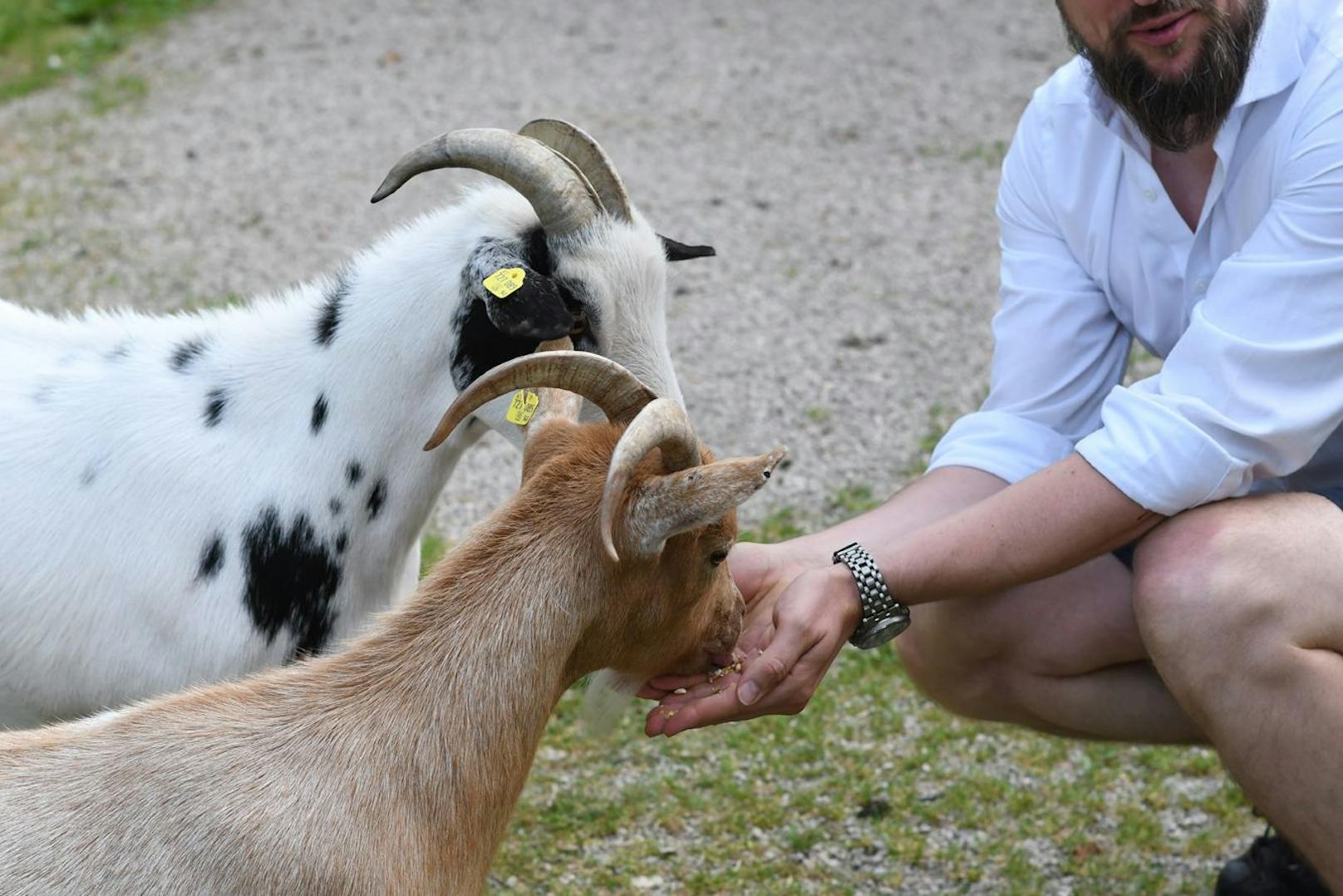 Kinder sollen am Begegnungshof den richtigen Umgang mit Tieren lernen, aber auch Selbstvertrauen und innere Ruhe entwickeln.