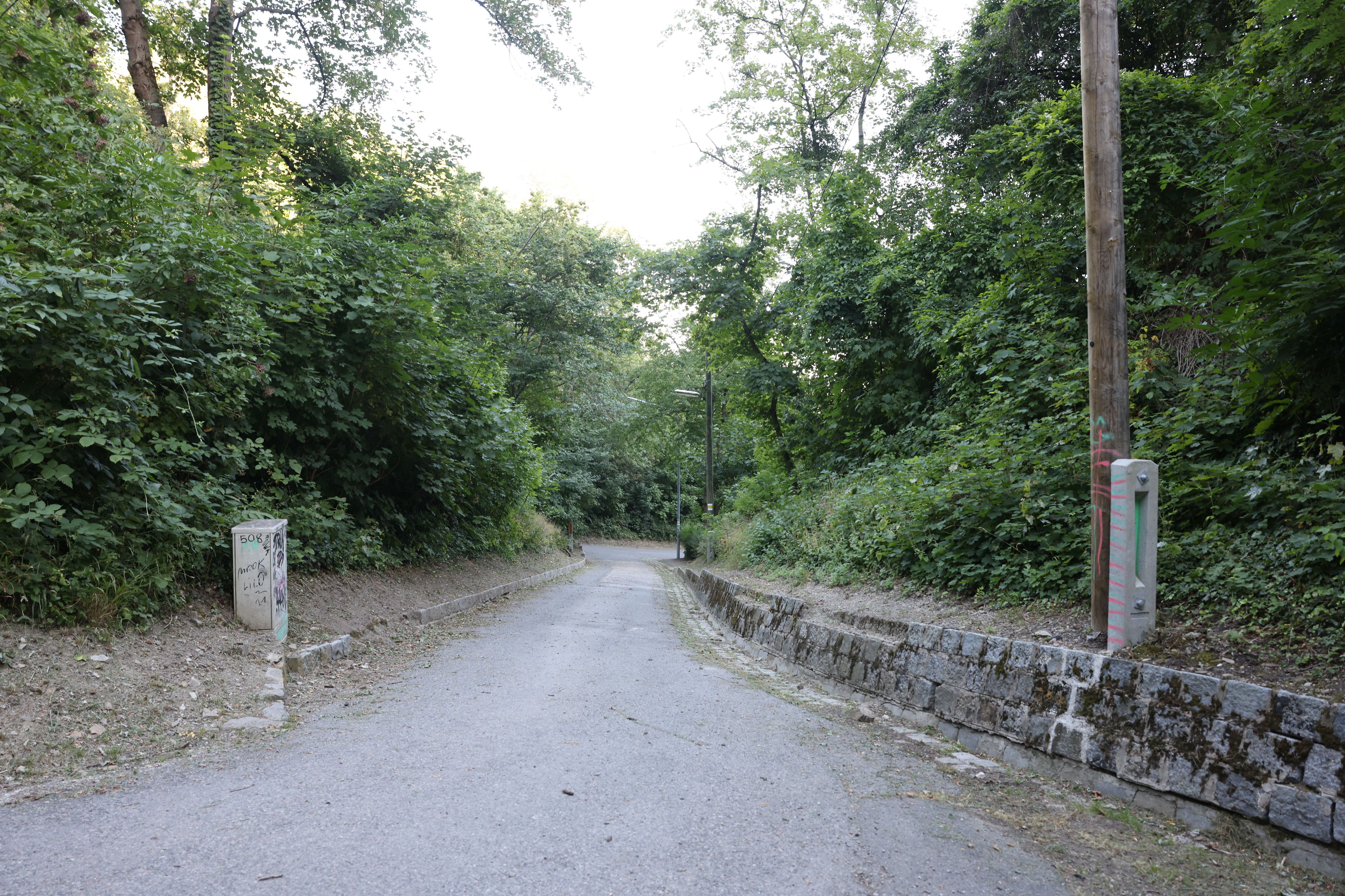 Die Leiche der Jugendlichen wurde in einem Waldstück in Wien-Döbling gefunden. 