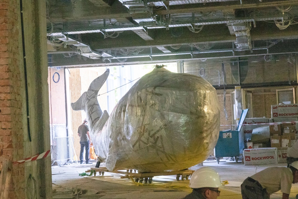 Seit Juli wohnt der Wal im Wien Museum, im März wird eröffnet und nun hat der berühmte Bewohner einen Namen.