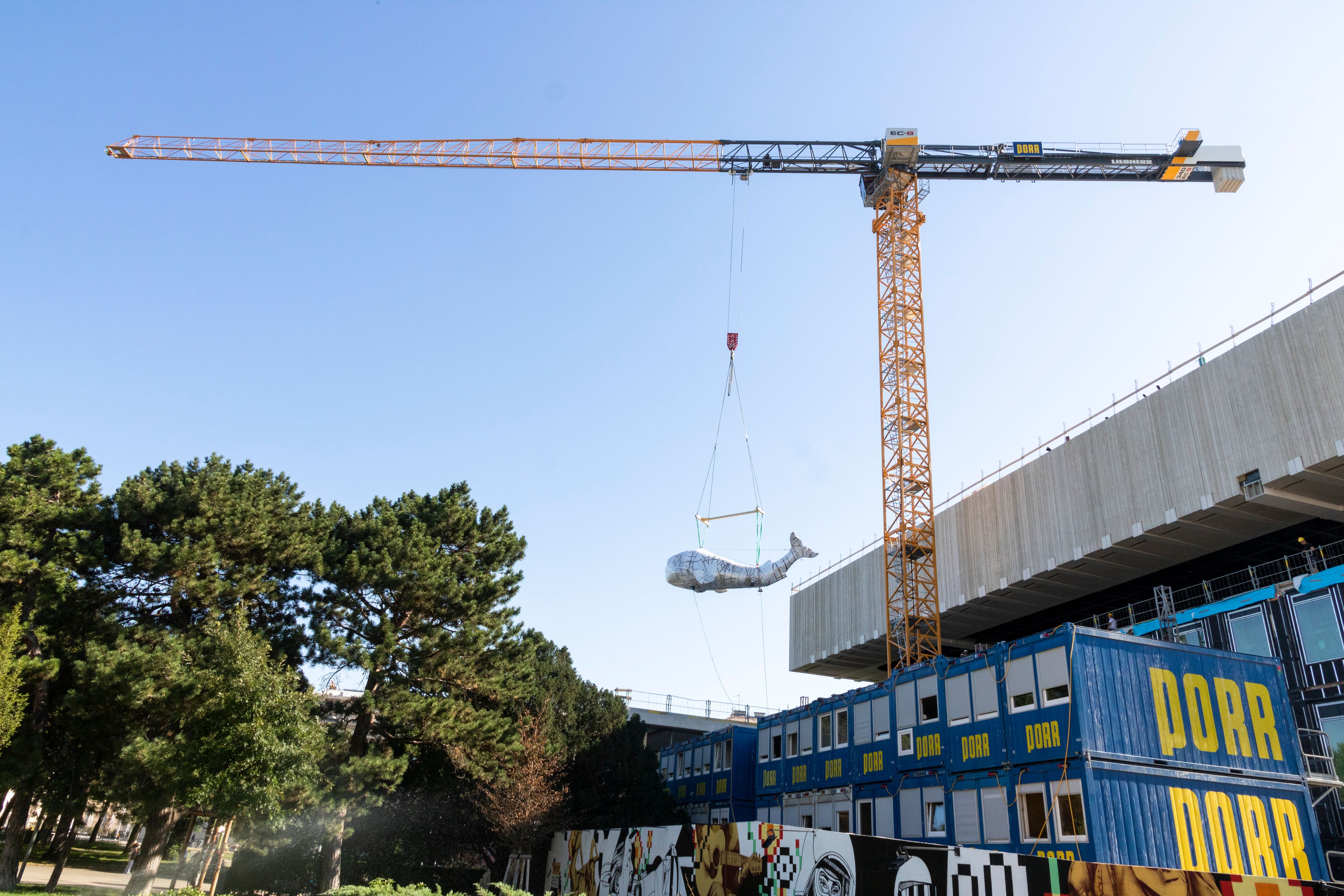 Landeanflug für den zehn Meter langen 
