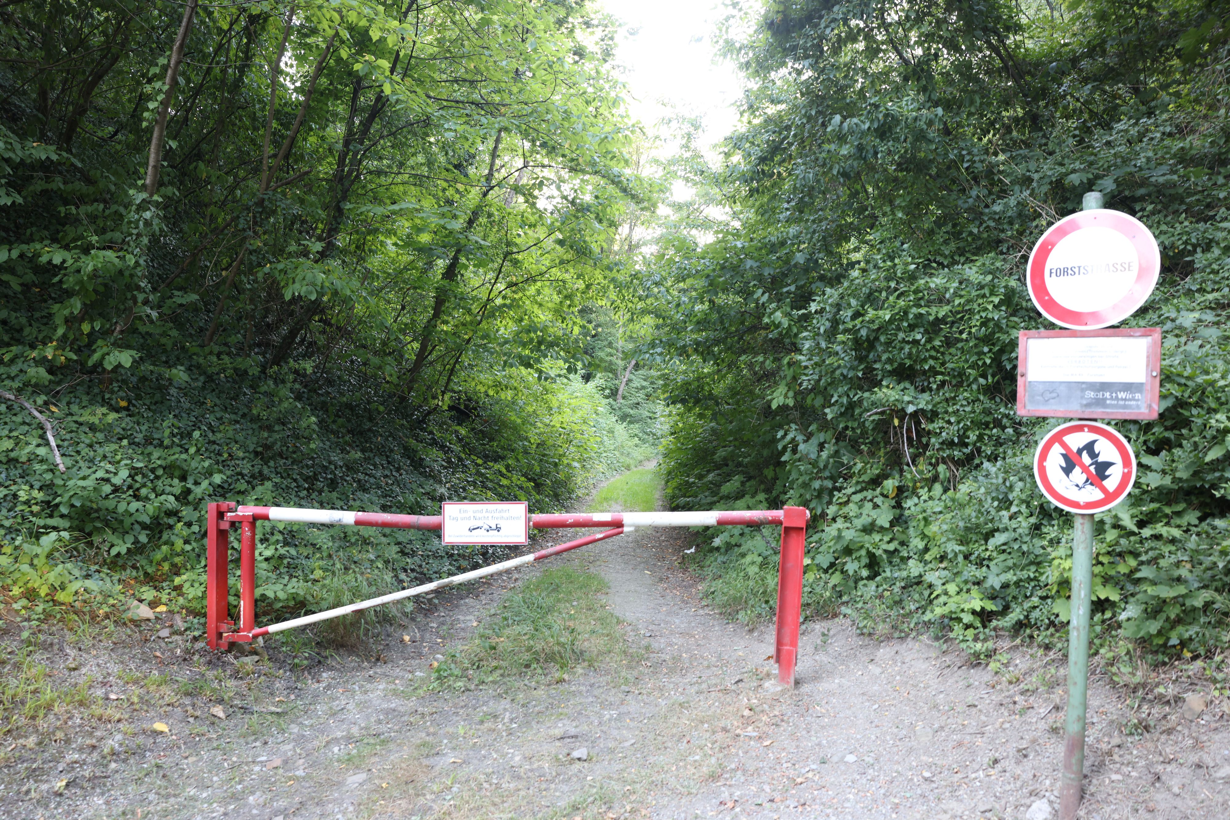 Die Leiche der Jugendlichen wurde in einem Waldstück in Wien-Döbling gefunden. 