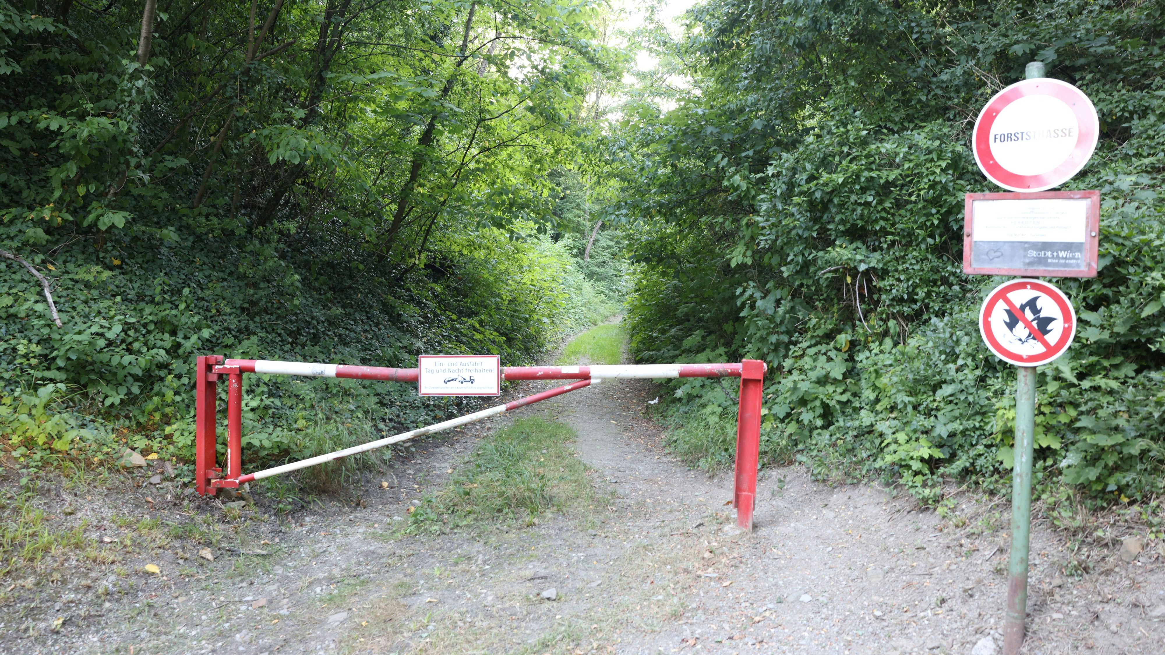 Die Leiche der Jugendlichen wurde in einem Waldstück in Wien-Döbling gefunden. 