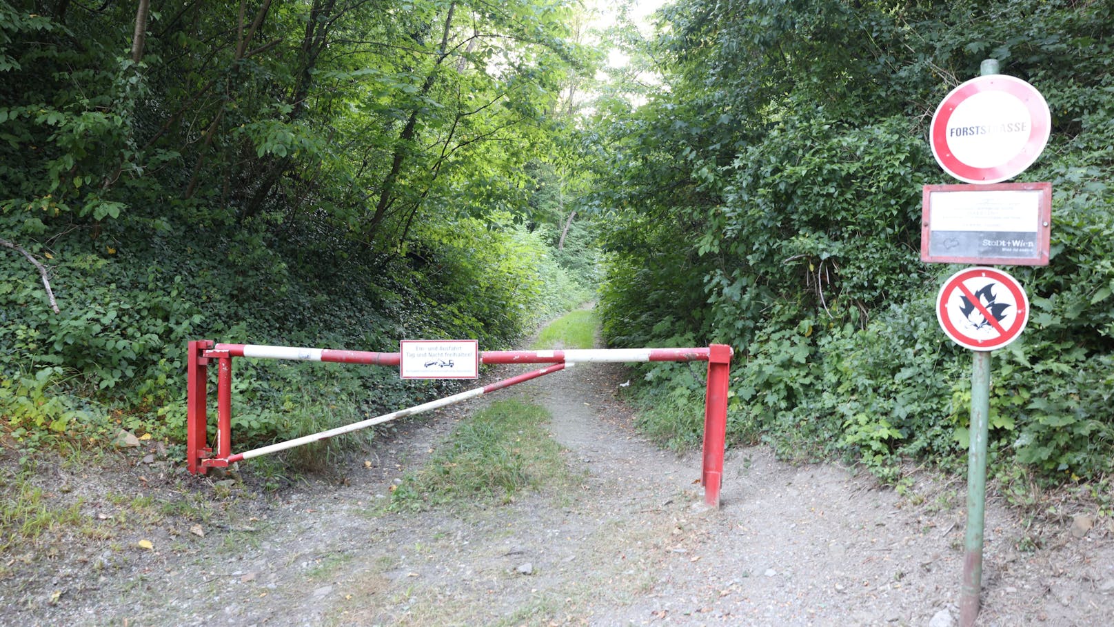 Die Leiche der Jugendlichen wurde in einem Waldstück in Wien-Döbling gefunden. 