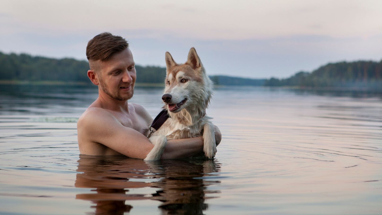 Nicht jeder Hund ist eine Wasserratte - oftmals liegt es aber am Halter.