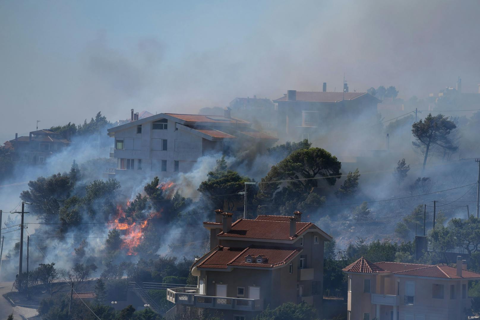 Waldbrände in Athen – Kinderkrankenhaus evakuiert