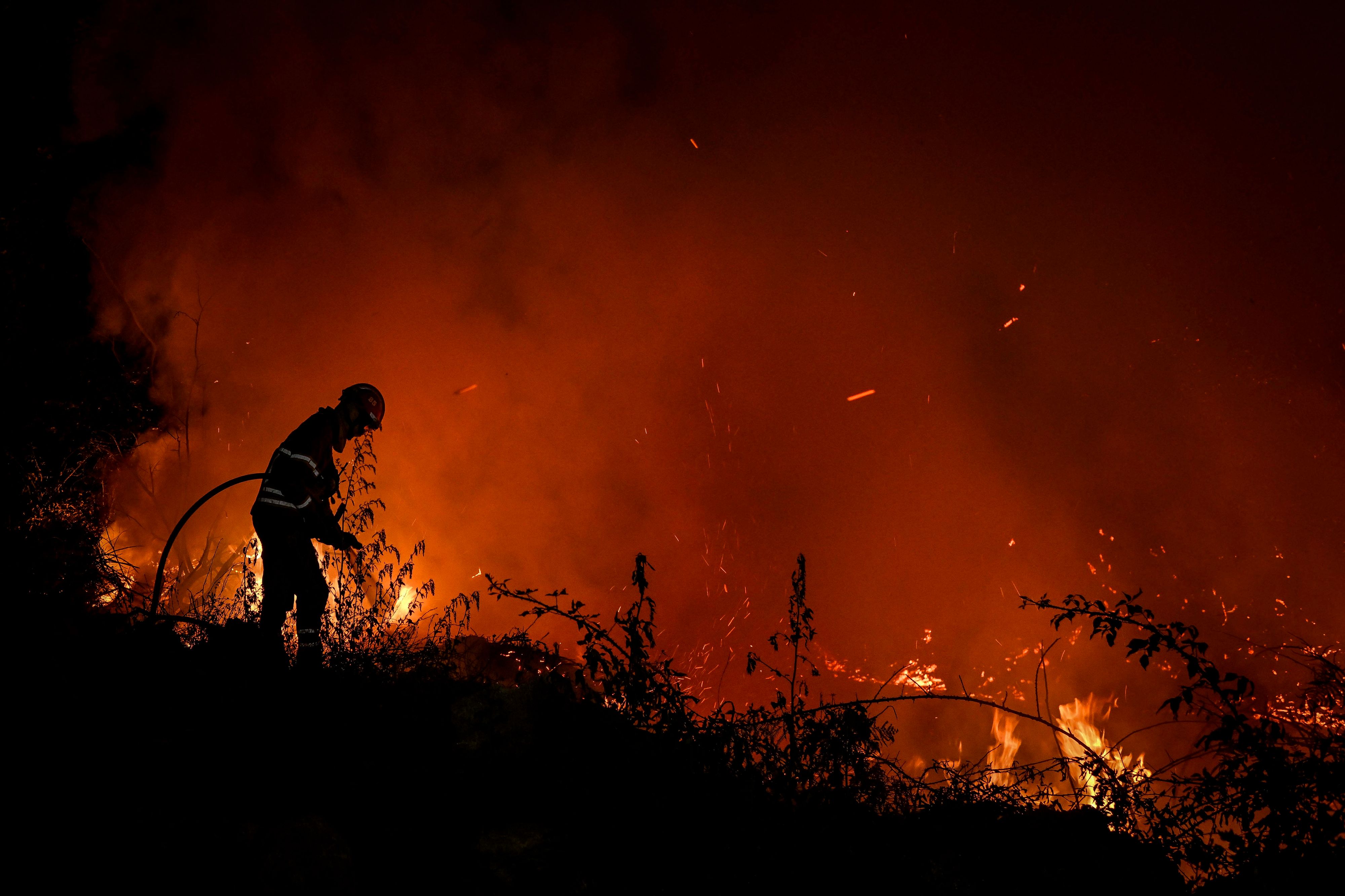 Die glühende Hitze löste auch verheerende Waldbrände in Portugal aus.