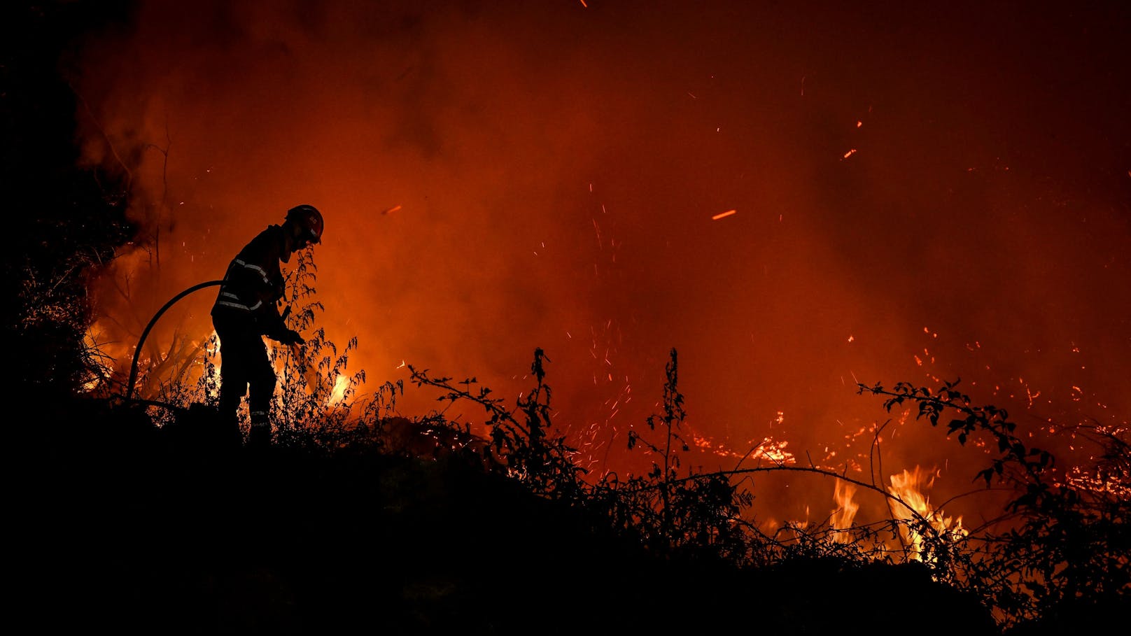 Die glühende Hitze löste auch verheerende Waldbrände in Portugal aus.
