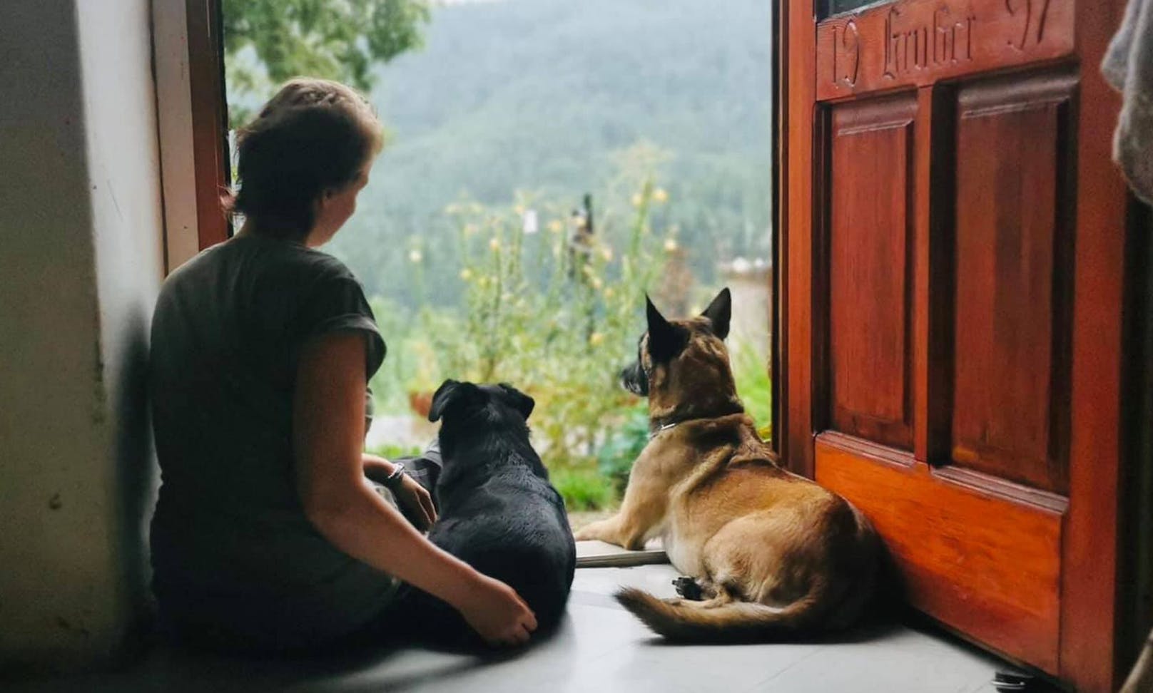 Im Hundehotel und Begegnungshof "Kronenwiese" können Mensch und Tier sich so richtig kennenlernen und relaxen.
