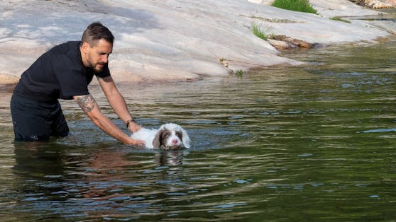 Niemals mit Zwang und immer mit positiver Bestätigung, wird vielleicht auch dein Hund zur Wasserratte. 