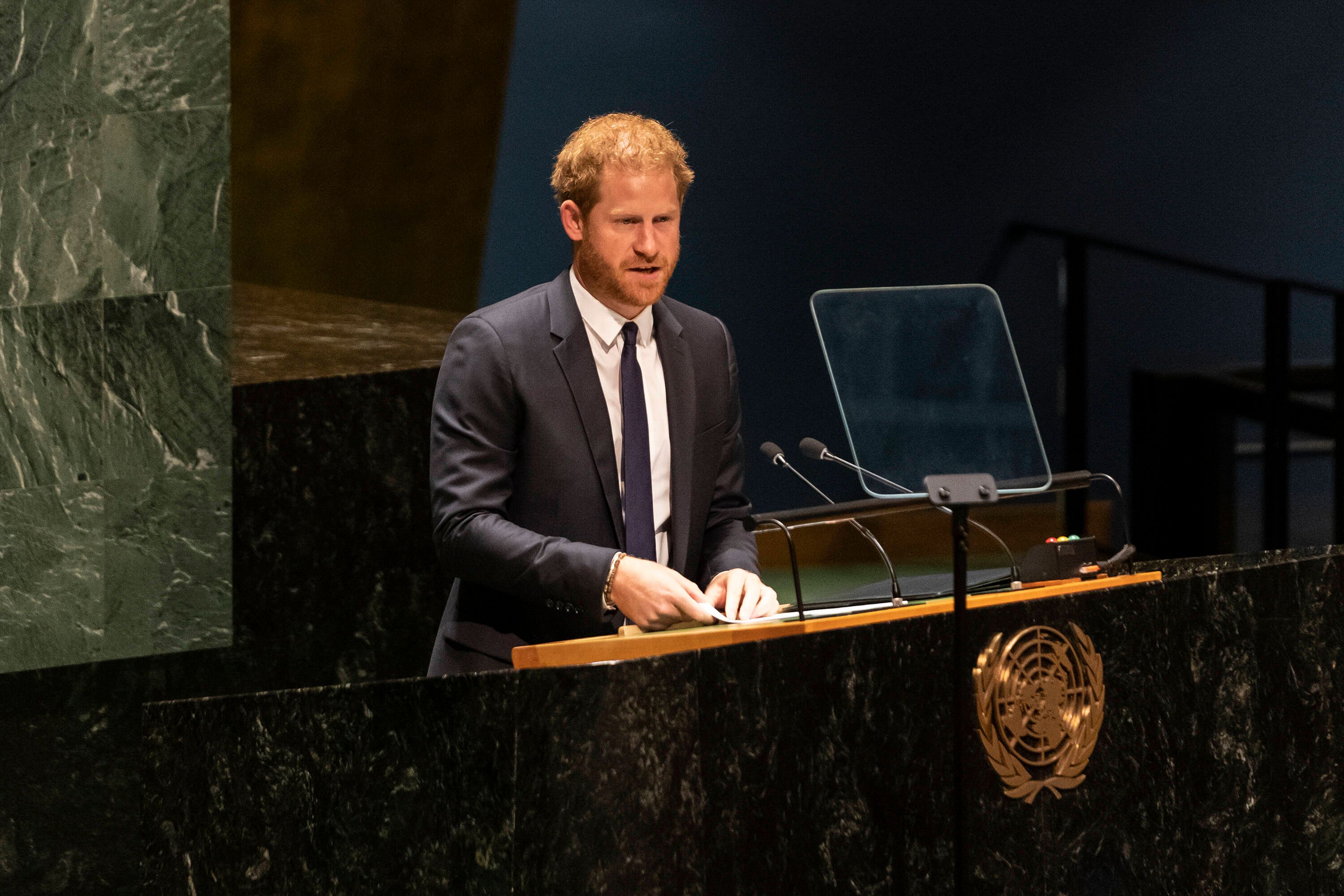 Prinz Harrys Frisur kommt bei den Usern im Netz nicht gut an.