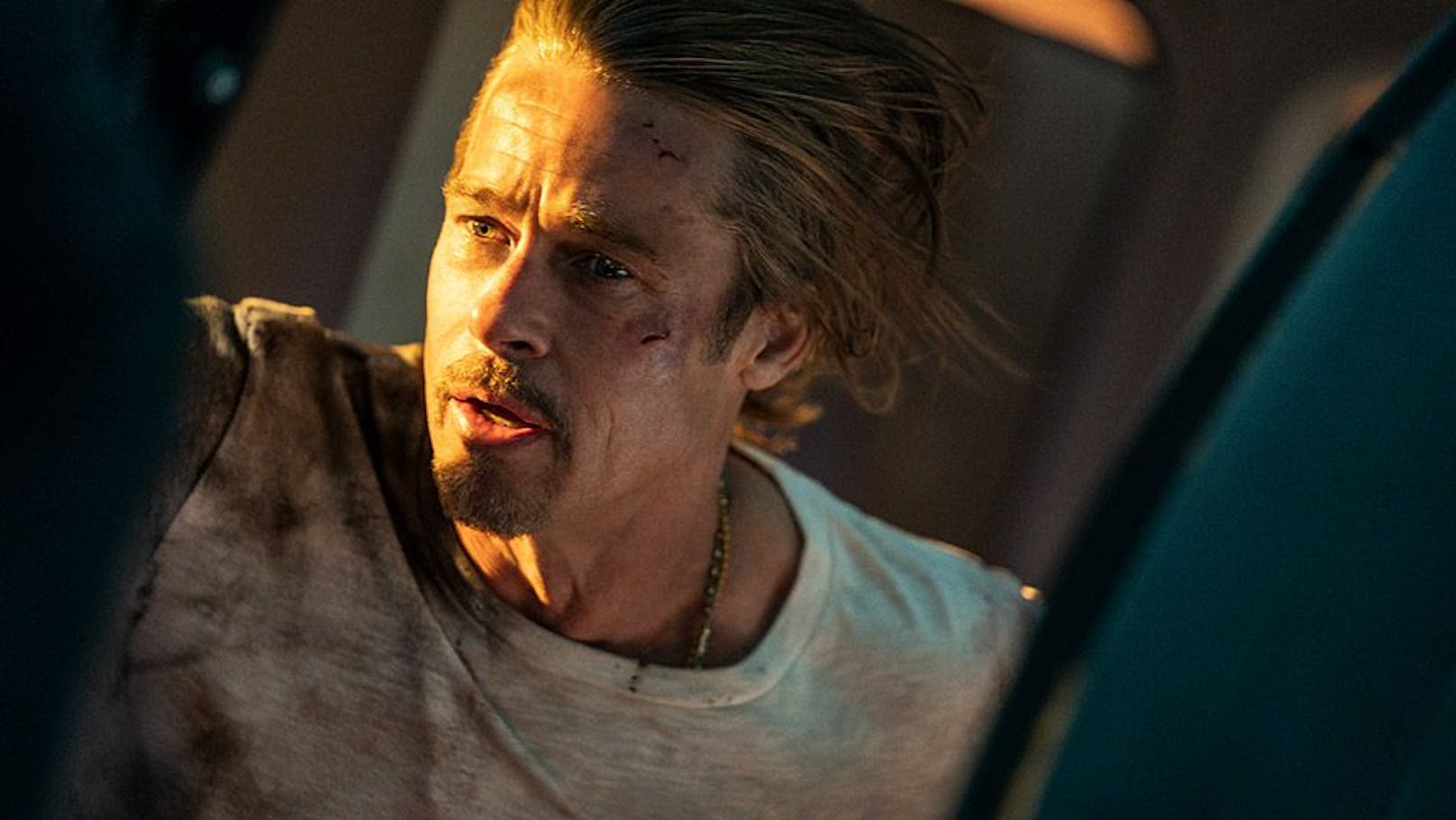 Brad Pitt als Ex-Killer "Ladybug".