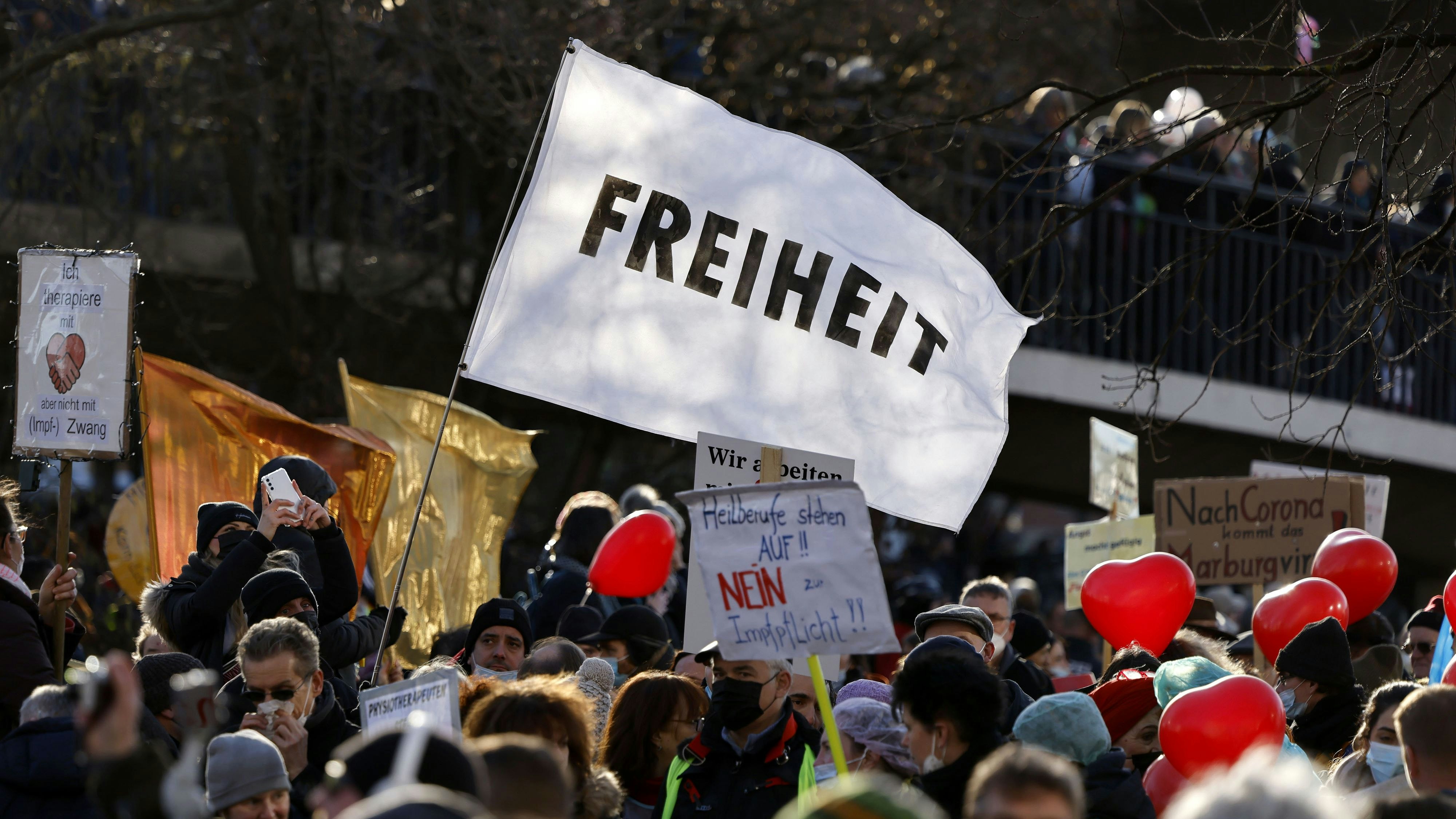 Coronagegner in Deutschland planten den ganz großen Anschlag auf die Demokratie. 