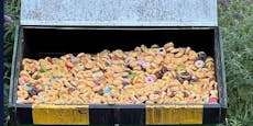 Verschwendung: Hunderte Donuts landen unberührt im Müll