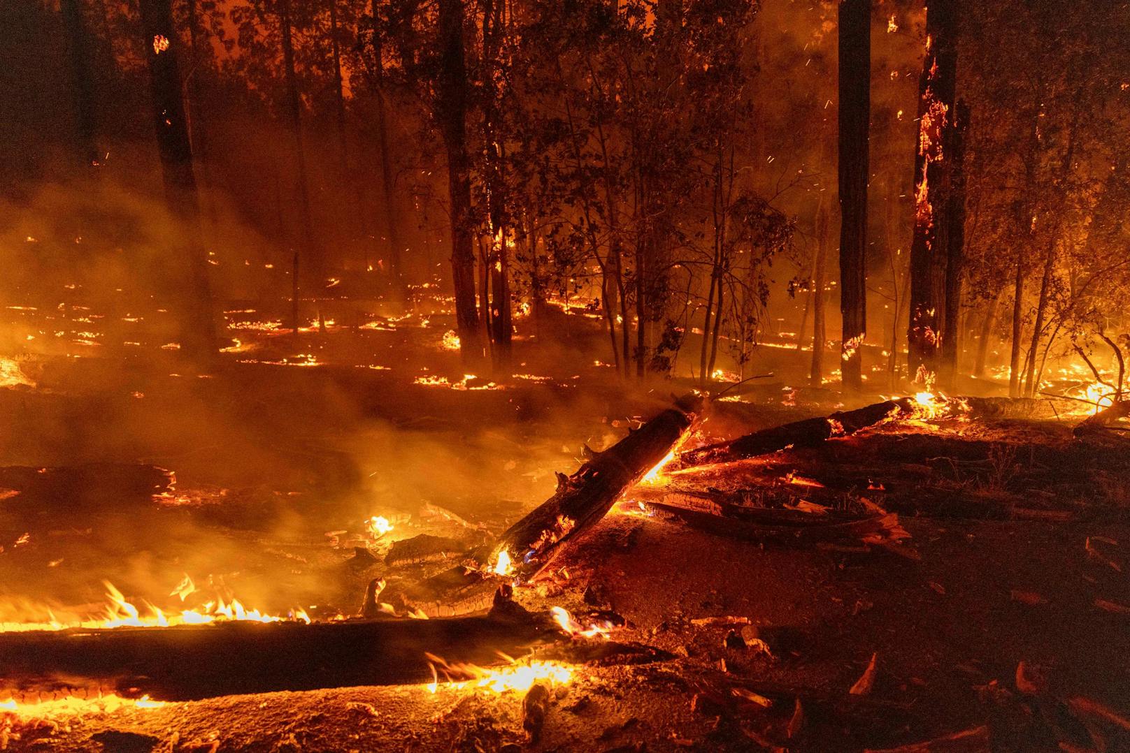 Der Yosemite-Nationalpark ist Opfer eines heftigen Waldbrandes.