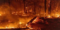 Flammen-Inferno in weltberühmten Yosemite-Nationalpark