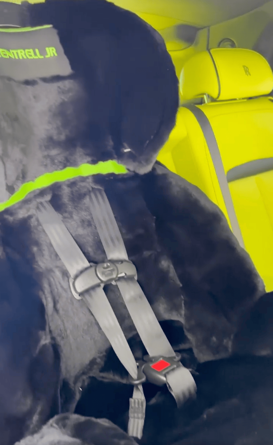 Der Kindersitz im Mayweather-Auto