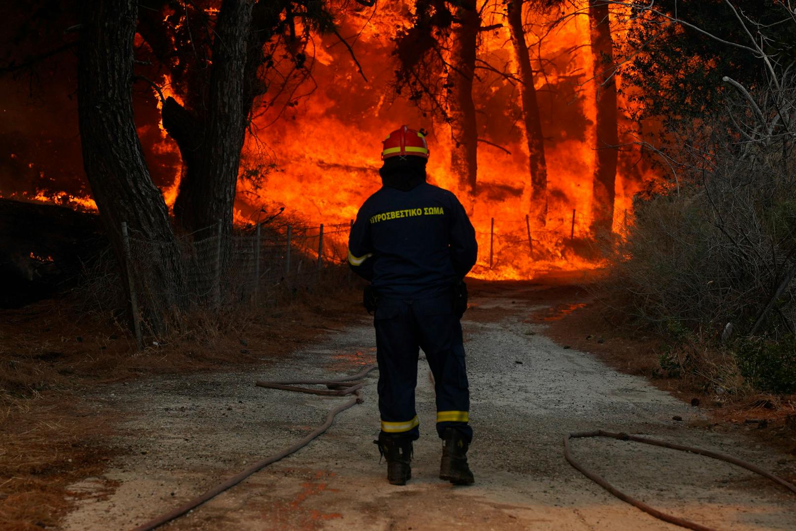 Ein griechischer Feuerwehrmann beim Kampf gegen die wütenden Waldbrände. 