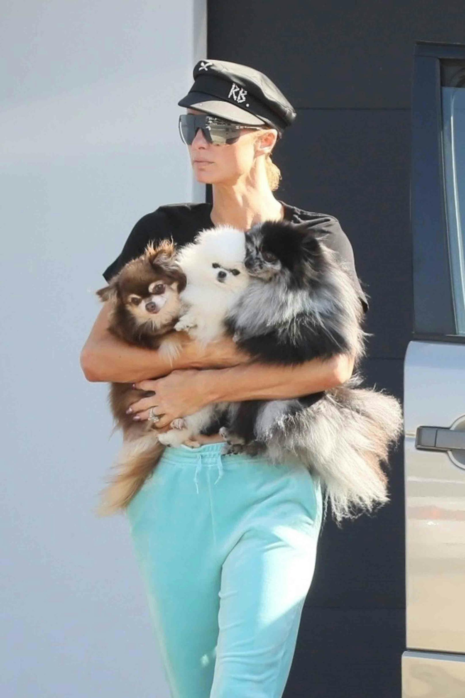 Paris Hilton ist mit ihren drei Hunden in Malibu unterwegs. 