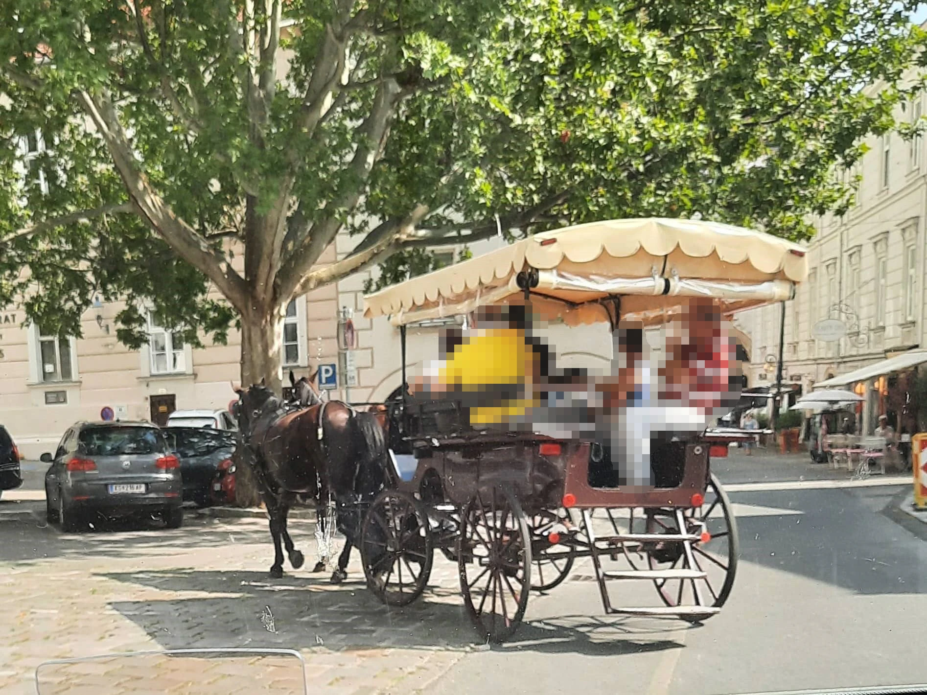 Bei 38 Grad mussten die Pferde eine Kutsche ziehen.