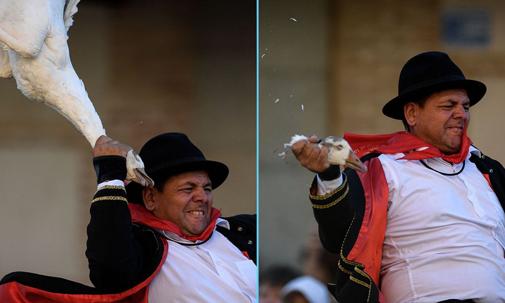 Traditionell versucht ein Reiter einer aufgehängten Gans während des Jakobusfestes in Spanien den Kopf abzureißen.