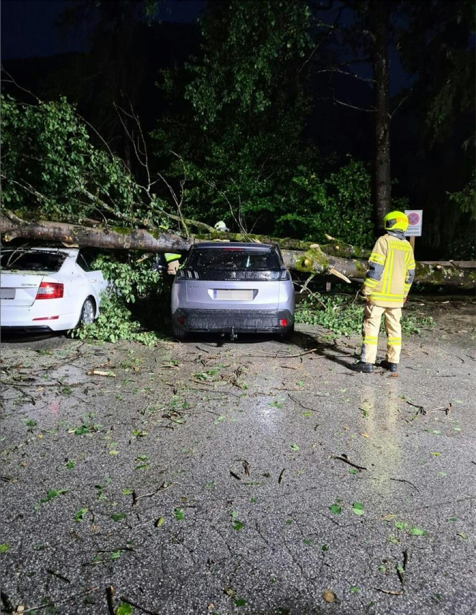 In Finkenberg beschädigte ein unwetterbedingt umgestürzter Baum drei Fahrzeuge schwer. 