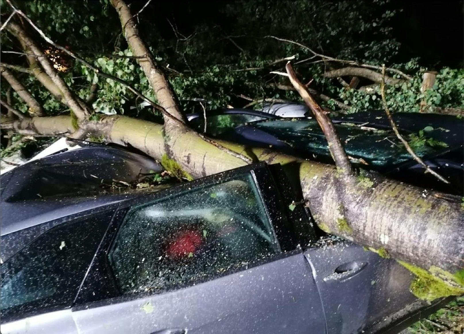 In Finkenberg beschädigte ein unwetterbedingt umgestürzter Baum drei Fahrzeuge schwer. 