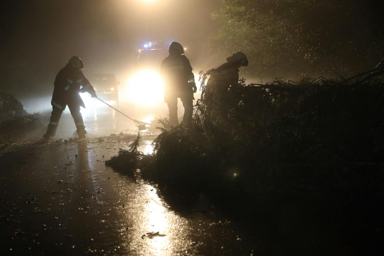 Mehrere Feuerwehren waren im Einsatz.