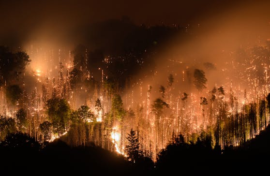 Die Waldbrände in Tschechien und Deutschland breiten sich weiter aus.