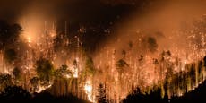 "Angespannt": Waldbrand-Hölle vor den Toren Österreichs