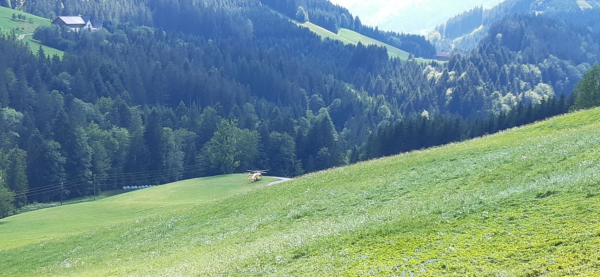 Der Helikopter auf der weitläufigen Wiese.