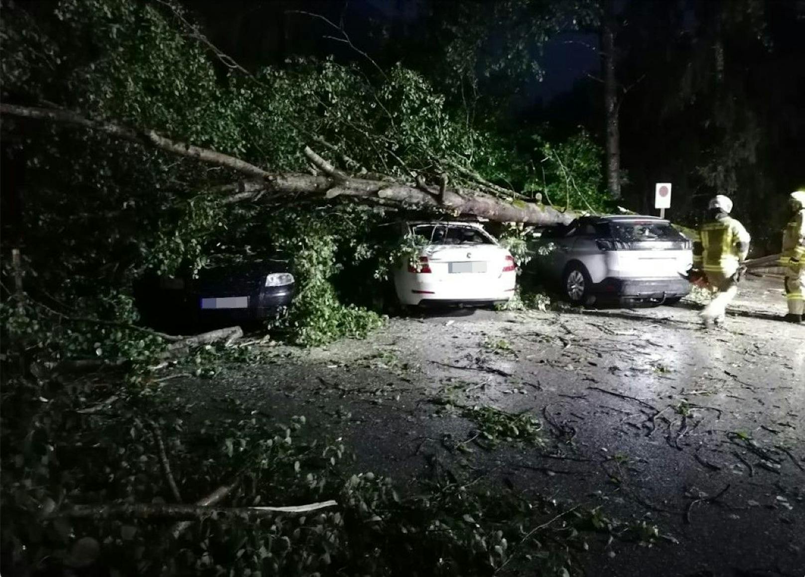 In Finkenberg beschädigte ein unwetterbedingt umgestürzter Baum drei Fahrzeuge schwer. 