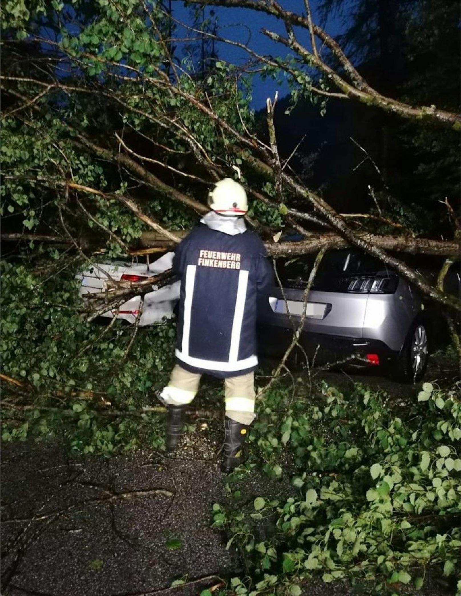 In Finkenberg beschädigte ein unwetterbedingt umgestürzter Baum drei Fahrzeuge schwer. 